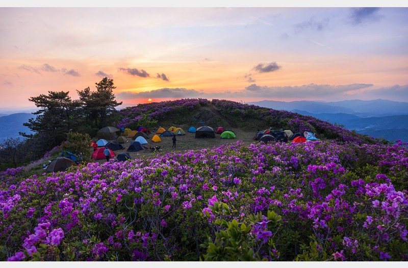 초암산 텐트마을..
