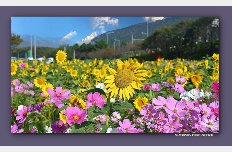 아 ! - 가을입니다. -