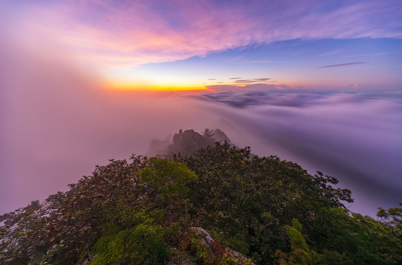깨어나는 팔공산