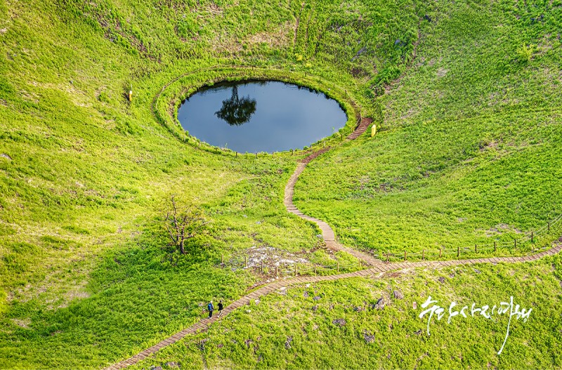 자연의 눈과 오솔길!