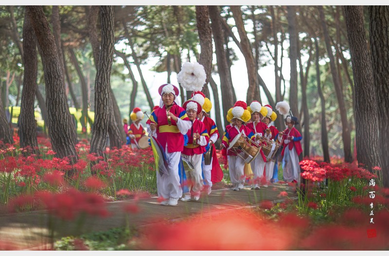 꽃무룻 속의 농악