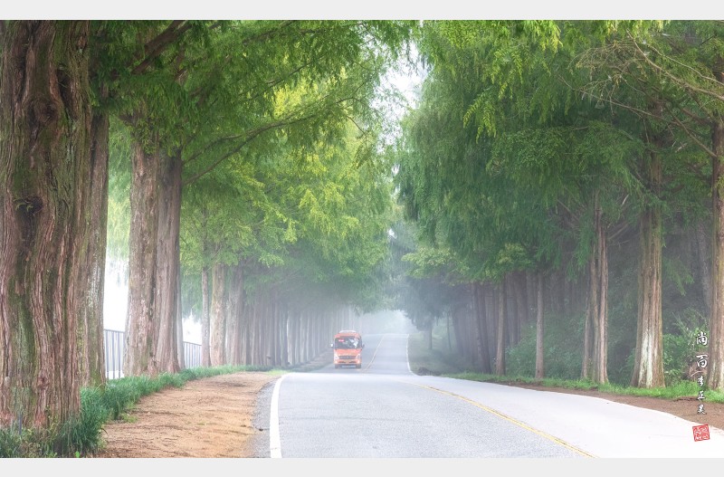 안개속의 메타길