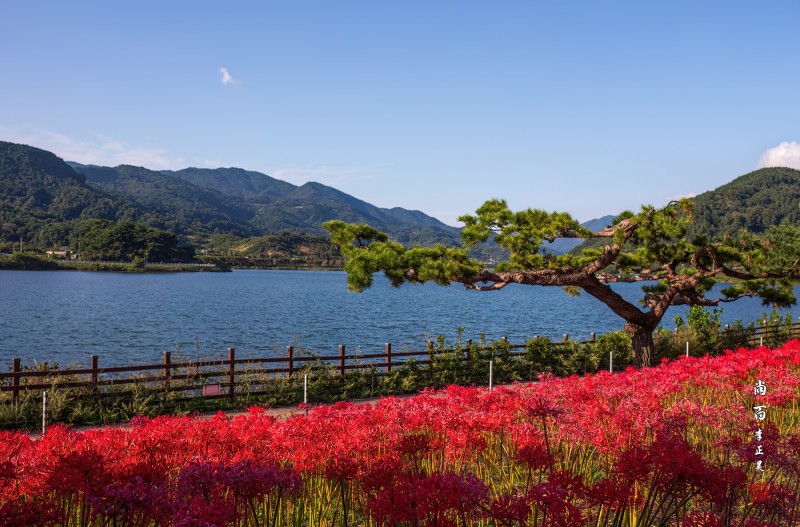 지리산치즈랜드 꽃무룻