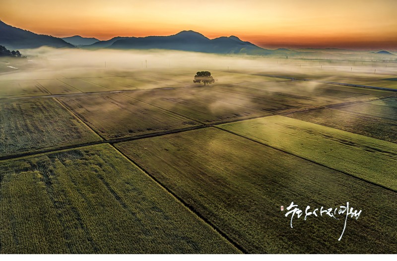 새벽이 머무는 자리!