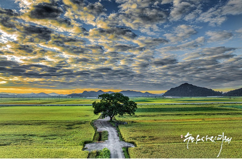 구름이 좋던 날