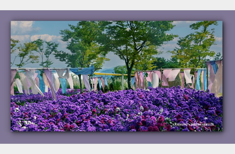 가을이 오는 산에서 ----