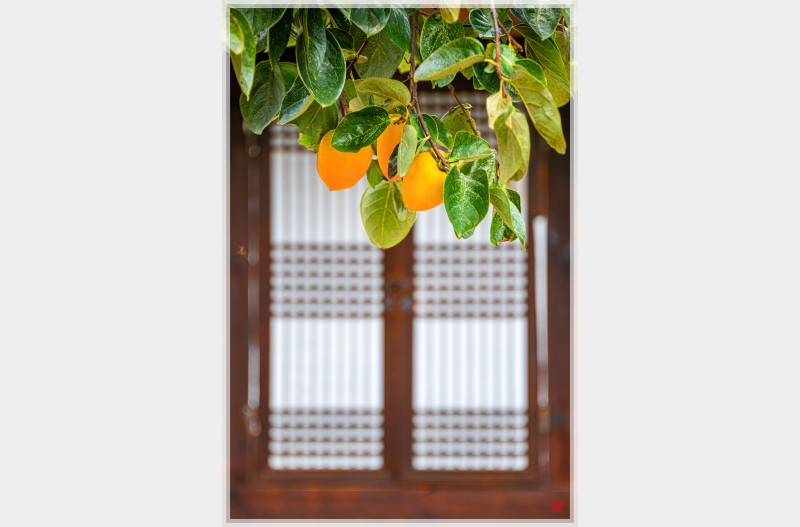 울엄마가 생각이난다