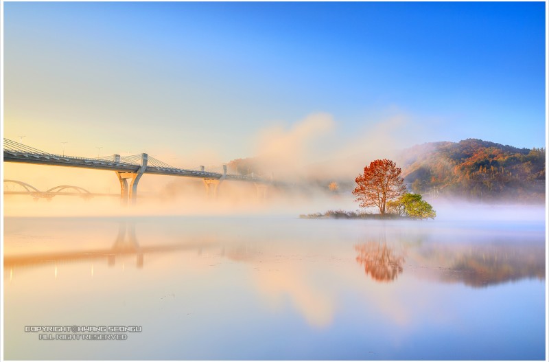 홀로나무의 가을