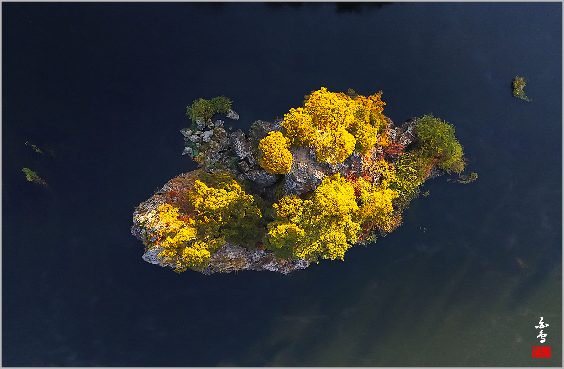 꽃을 등에 단 물고기 형상 같네요 ㅎㅎ