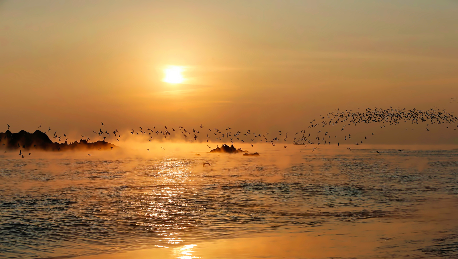 문무대왕수중릉 에서...