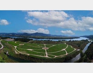 고령 은행나무숲 에서..