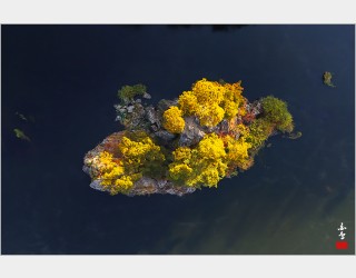 꽃을 등에 단 물고기 형상 같네요 ㅎㅎ