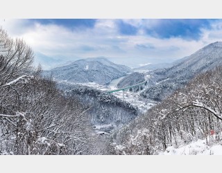 24년 12월28일 설경 입니다