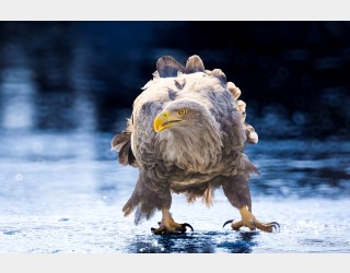 오늘 아침 첫얼음이 얼었습니다.