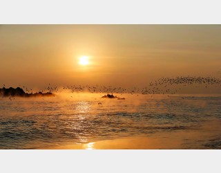 문무대왕수중릉 에서...