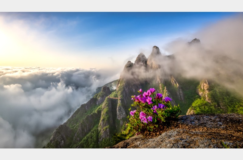 월출산 아침산책