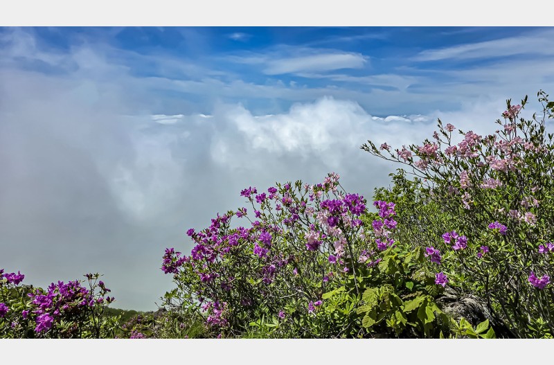 지리산 삼신봉의 봄