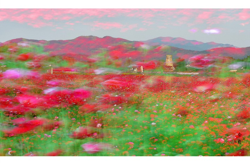 혼돈의 시대 (뒤죽박죽)