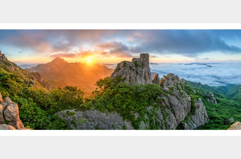 휘날리는 일출안개