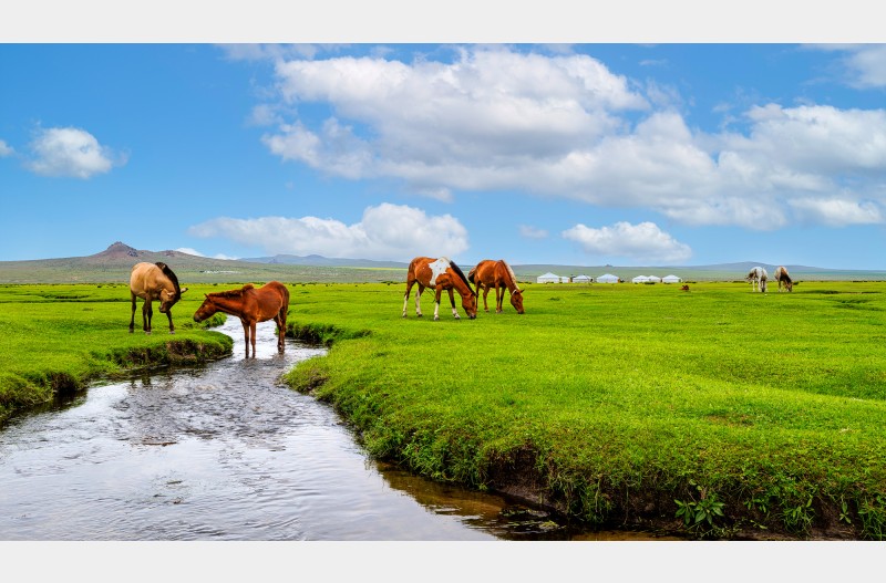 저푸른 초원위에...