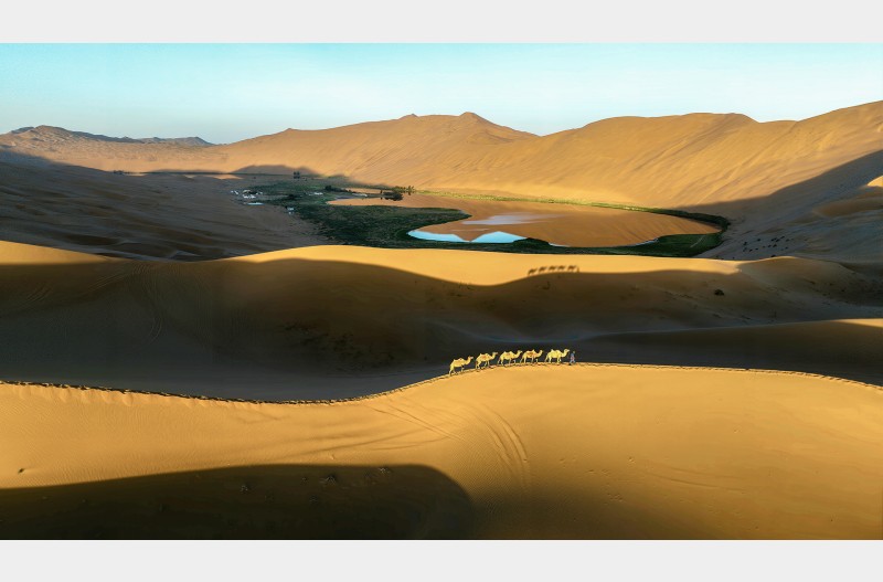 오아시스 찾아2