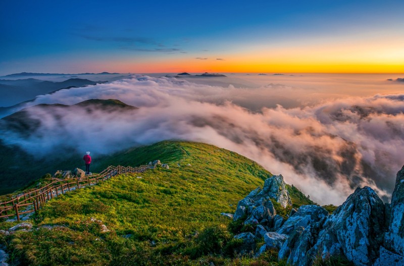 덕유평전의 여름