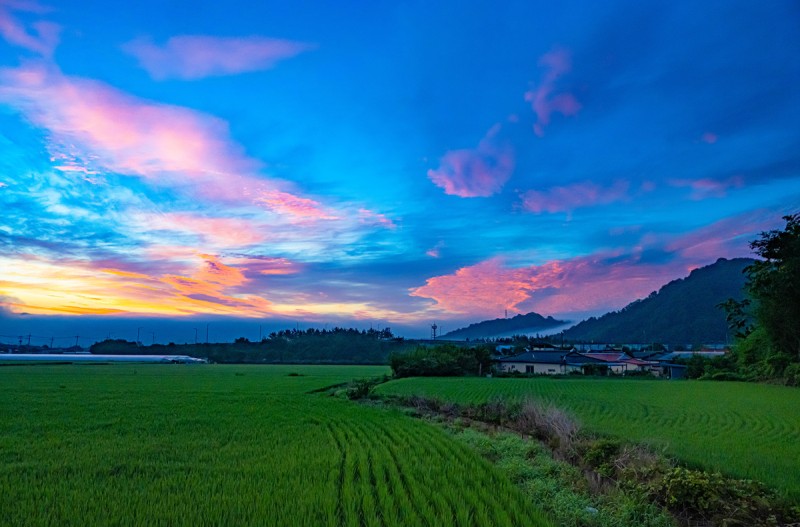 출사길에서 만난 여명