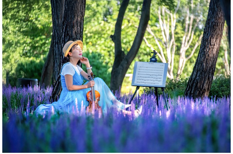 햇살 가득한 날