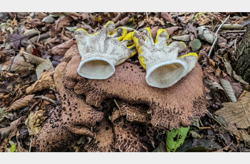 풍성한 한가위 맞이하시고 대박 잡는 가을날 되소서