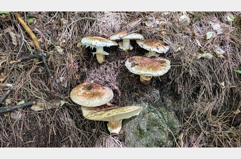 사진 누구나 싶게 찍는게 사진이 아니다 대박 사집입니다.