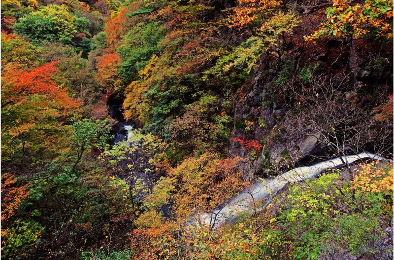 희방폭포의 가을