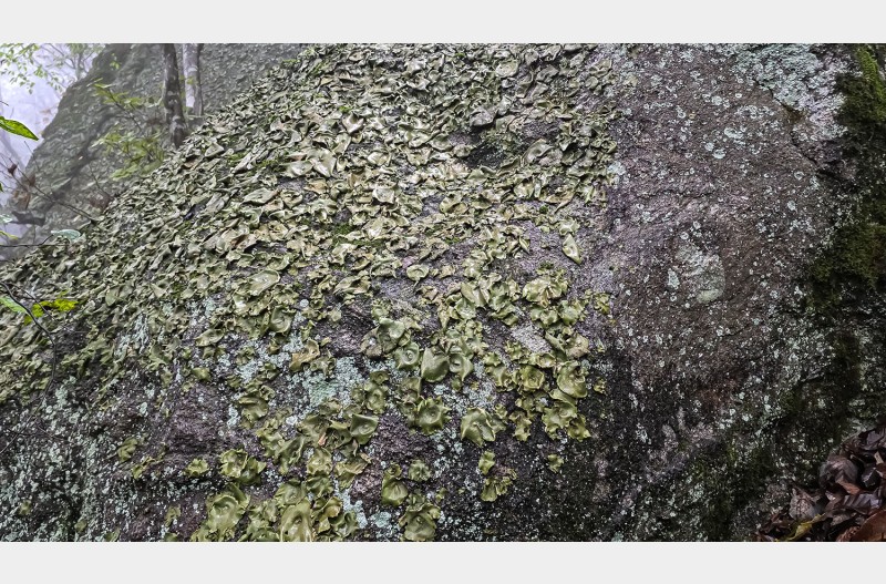 누구나 담을 수 있는 것보다 담을 수 없는 것을 담아내는 게 사진가의 몫