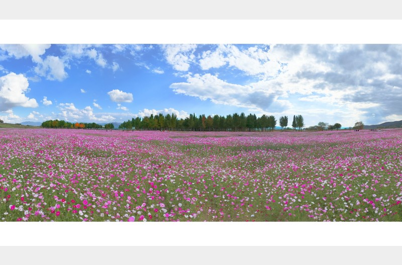 가을의 초입에서