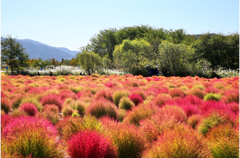 댑사리 읶어가는곳