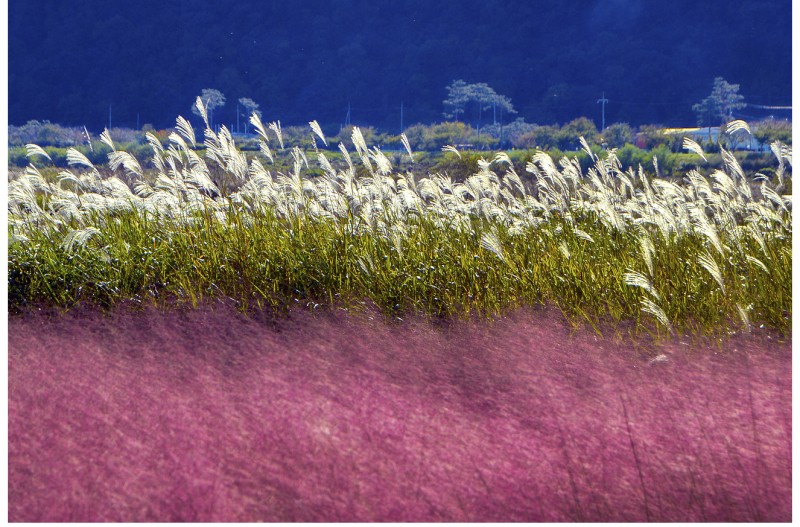 빛과 바람과 향기