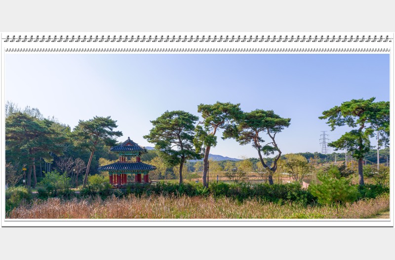 우리동네 소낭구