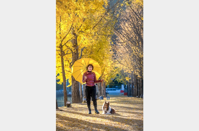 가을은 참 예쁘다