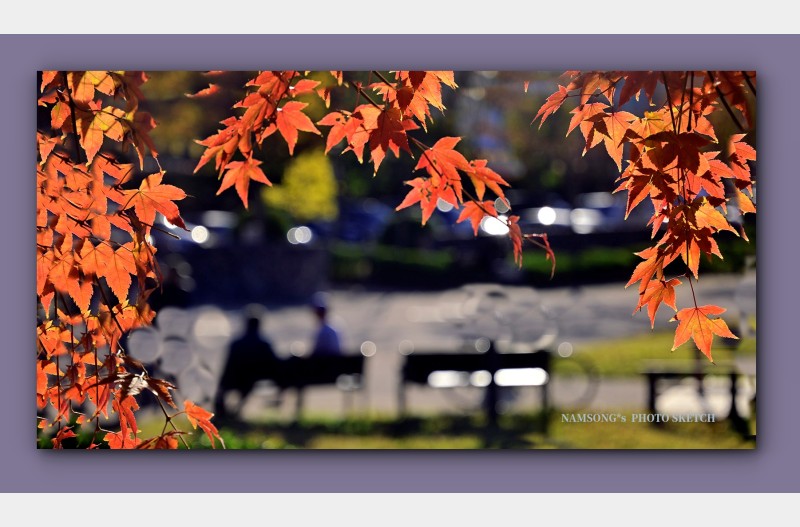 가을의 어느날 오후 --