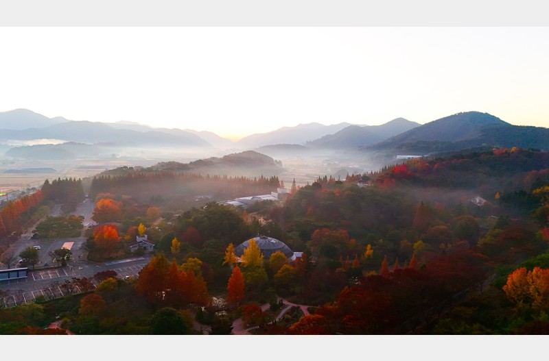 안개낀 아침풍경