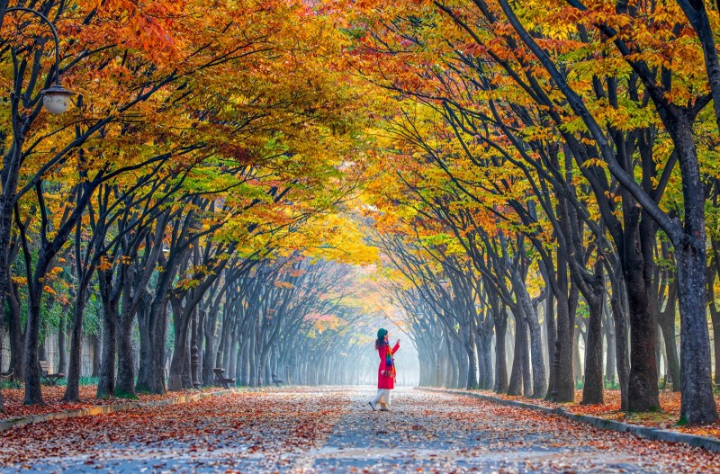 인천대공원 가을이야기