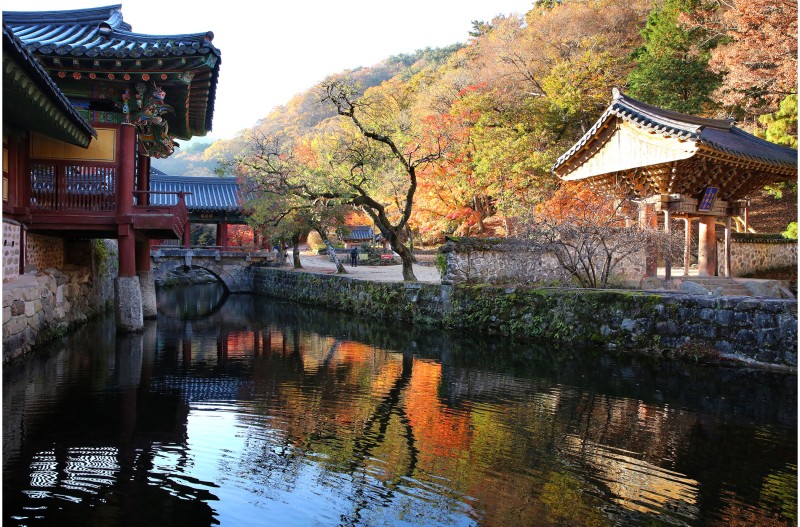 산사의 가을 풍경