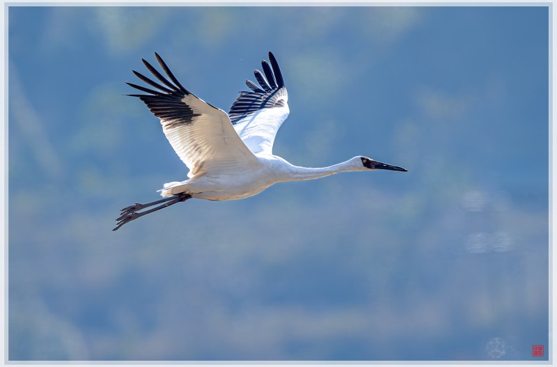 돌팔이 정형외과