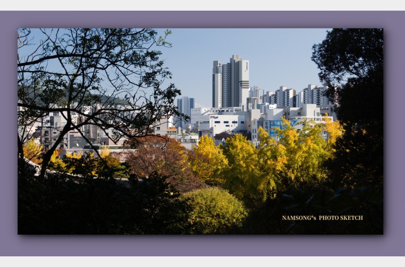 도시의 가을 풍경 --
