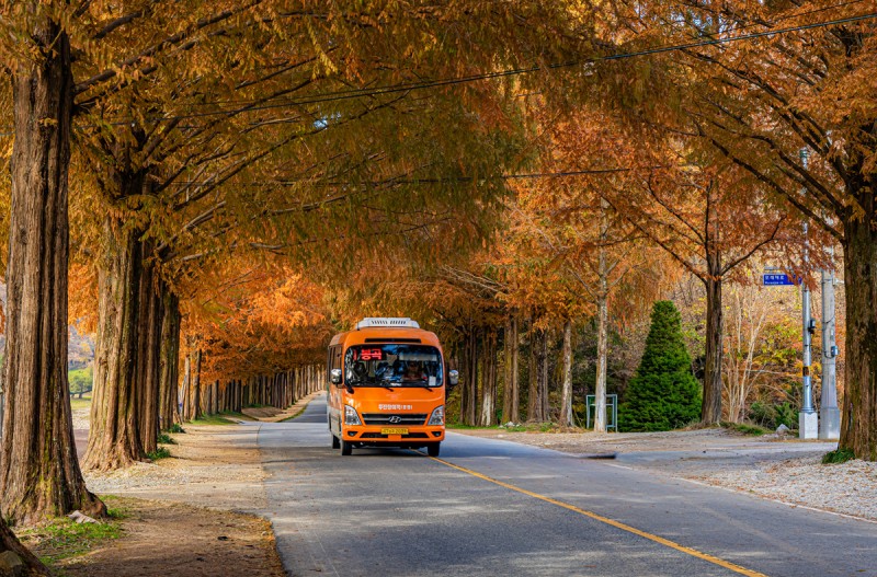 모래재 무진장 버스