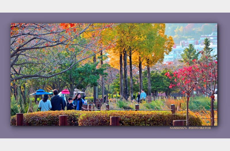 늦가을의 풍경 ---