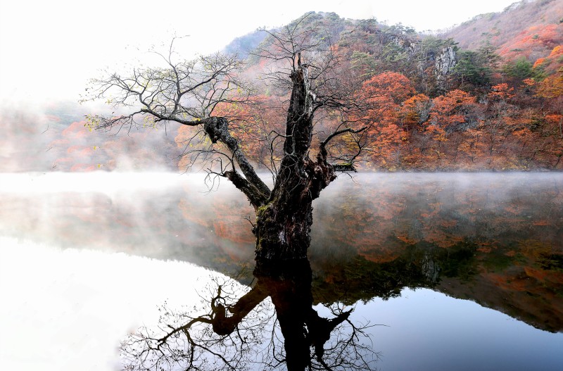 주왕산과 주산지