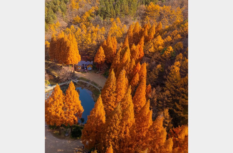 온빛 자연휴양림