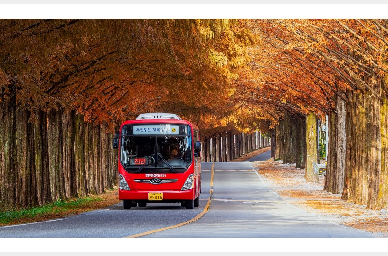 무진장 행복 합니다~