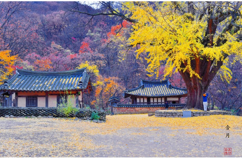 가을의 끝자락에서...