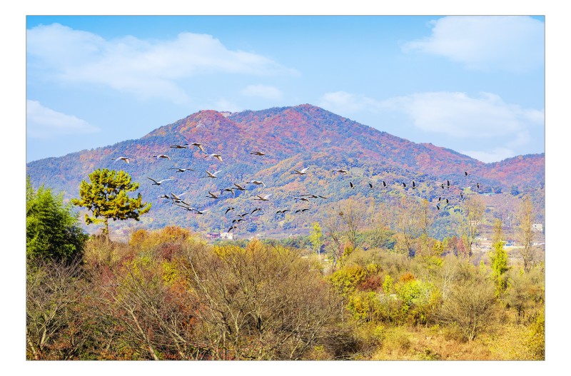 주남저수지의 가을 풍경